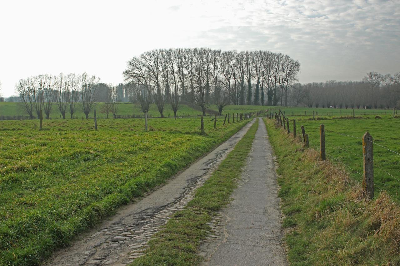 B&B Dotter 17 Erpe-Mere Exteriér fotografie