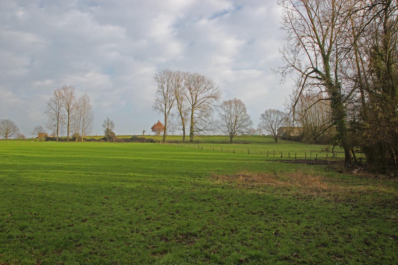 B&B Dotter 17 Erpe-Mere Exteriér fotografie