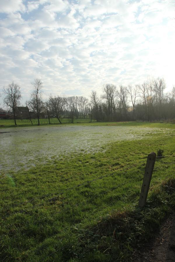 B&B Dotter 17 Erpe-Mere Exteriér fotografie