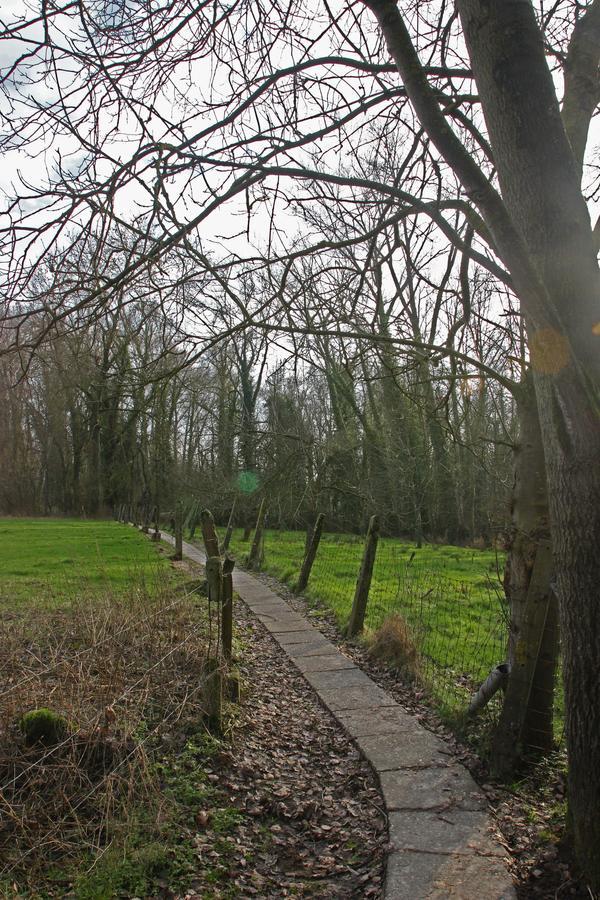 B&B Dotter 17 Erpe-Mere Exteriér fotografie