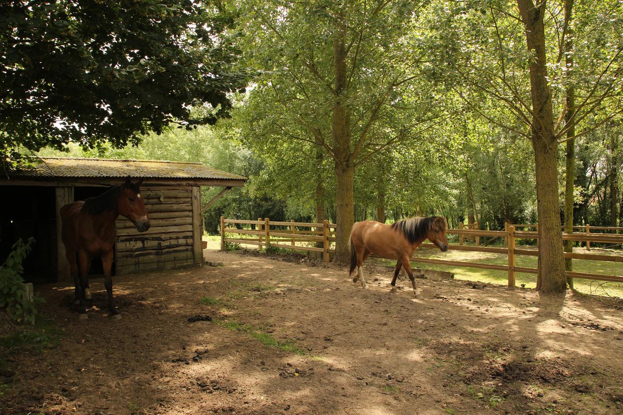 B&B Dotter 17 Erpe-Mere Exteriér fotografie