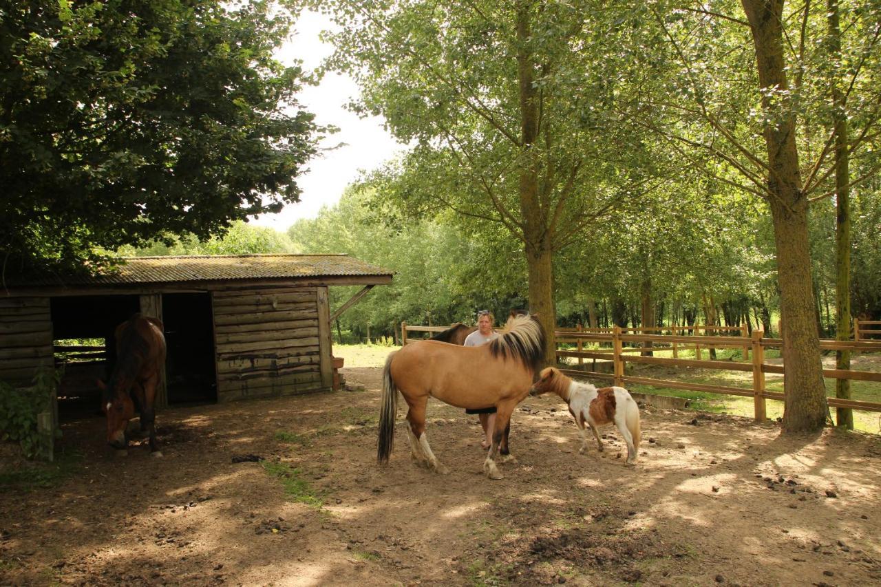 B&B Dotter 17 Erpe-Mere Exteriér fotografie